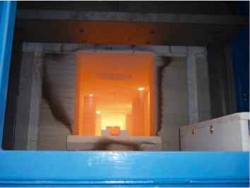 Twin Lane Tunnel Furnace2